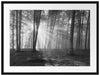 Wald mit Sonnenstrahlen Passepartout 80x60