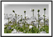 Blumenwiese Mohnblumen Passepartout 100x70
