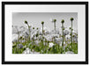 Blumenwiese Mohnblumen Passepartout 55x40