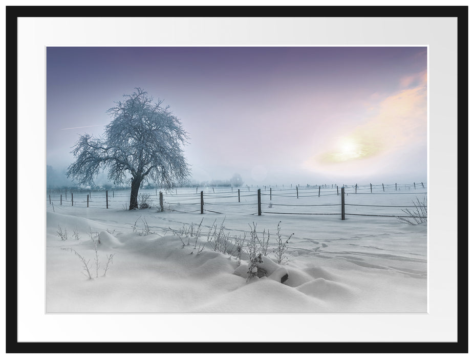 Baum in Winterlandschaft Passepartout 80x60