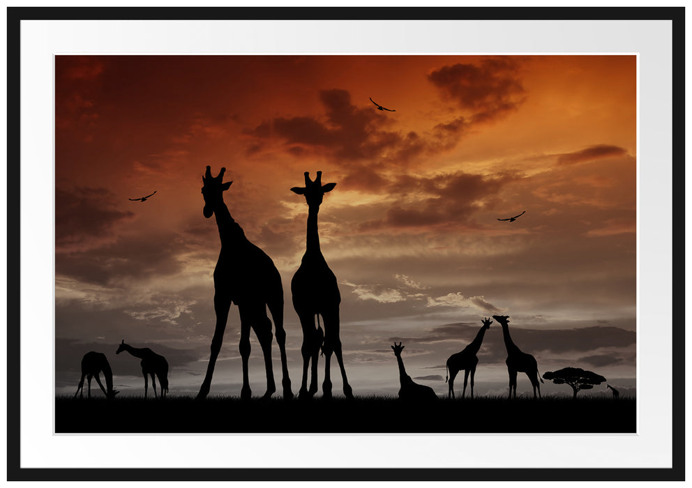Pixxprint Afrika Giraffen im Sonnenuntergang, im Galerie-Passepartout Bilderrahmen