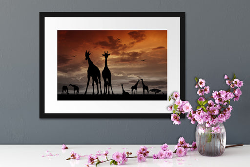 Afrika Giraffen im Sonnenuntergang Passepartout Wohnzimmer