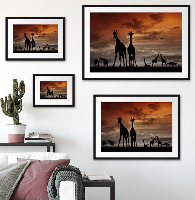 Afrika Giraffen im Sonnenuntergang Passepartout Dekovorschlag