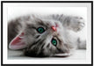 Süßes Katzenbaby Passepartout 100x70