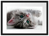 Süßes Katzenbaby Passepartout 55x40
