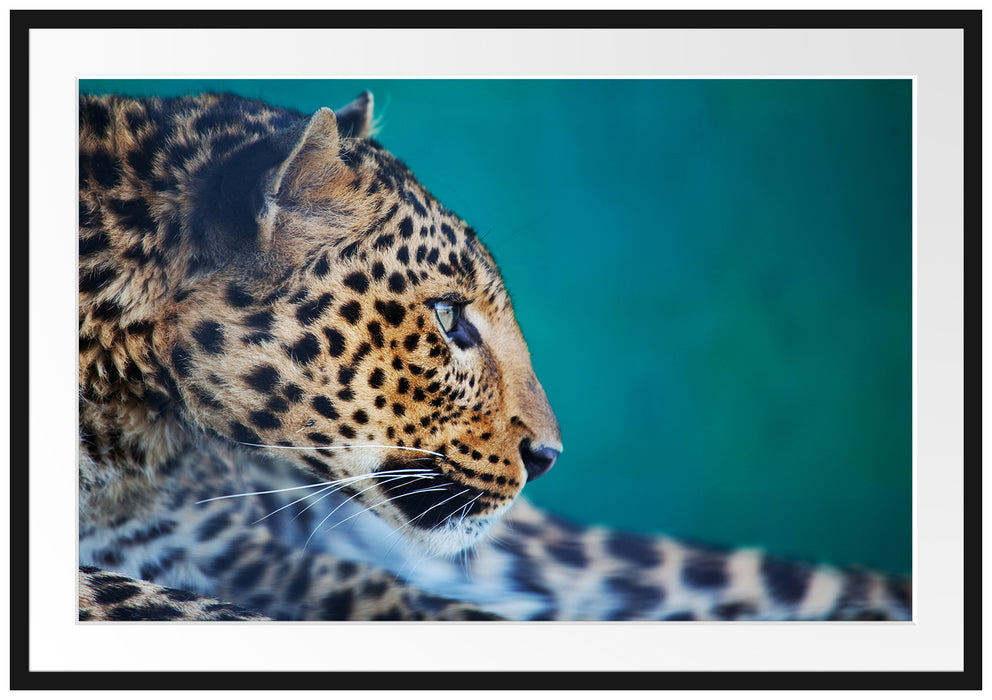 Pixxprint Wachsamer Gepard, im Galerie-Passepartout Bilderrahmen