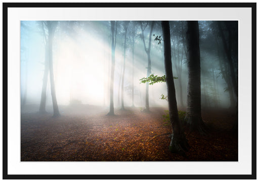 Düsterer Wald im Nebel Passepartout 100x70