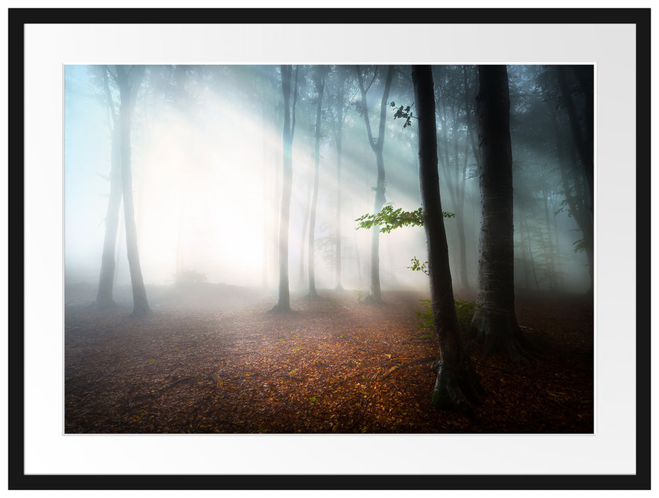 Düsterer Wald im Nebel Passepartout 80x60