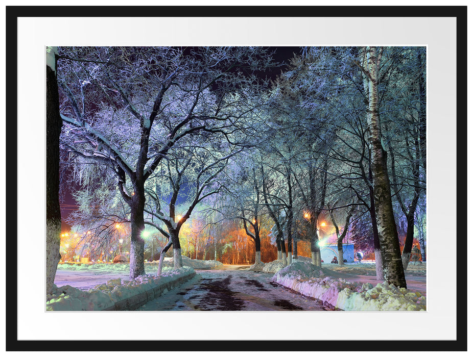 Baumallee im Winter Passepartout 80x60