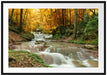 Waldbach im Herbst Passepartout 100x70