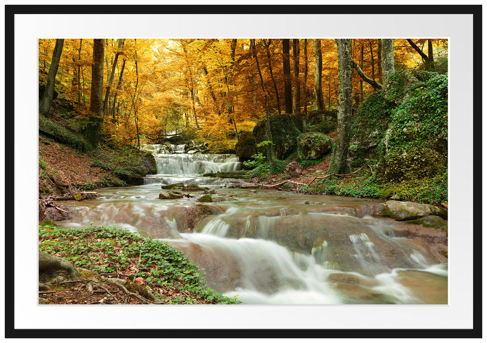 Pixxprint Waldbach im Herbst, im Galerie-Passepartout Bilderrahmen