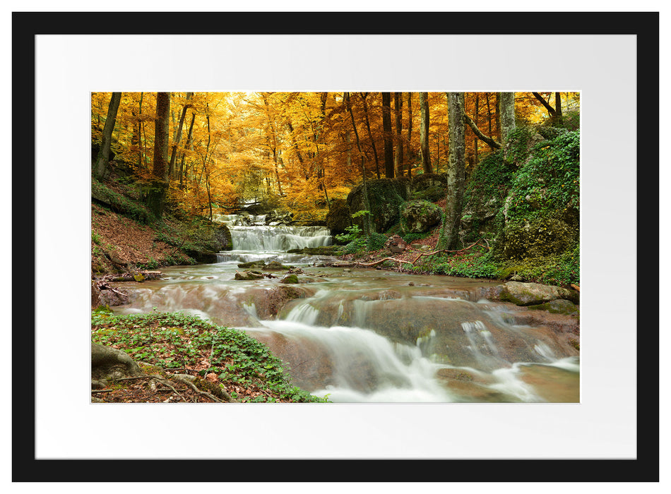 Waldbach im Herbst Passepartout 55x40