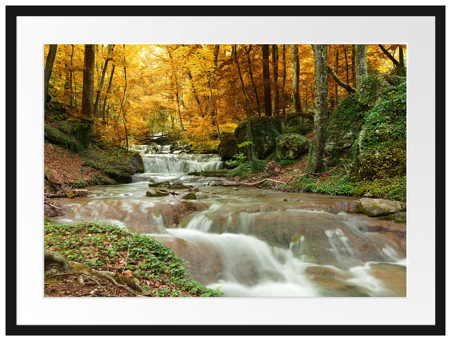 Waldbach im Herbst Passepartout 80x60