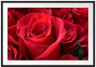 Romantische Rosen Passepartout 100x70