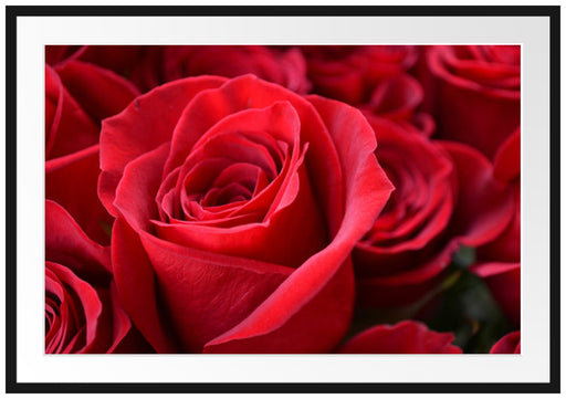Romantische Rosen Passepartout 100x70