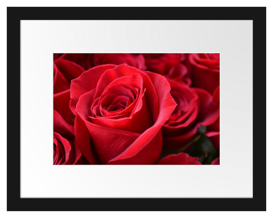 Romantische Rosen Passepartout 38x30