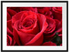 Romantische Rosen Passepartout 80x60