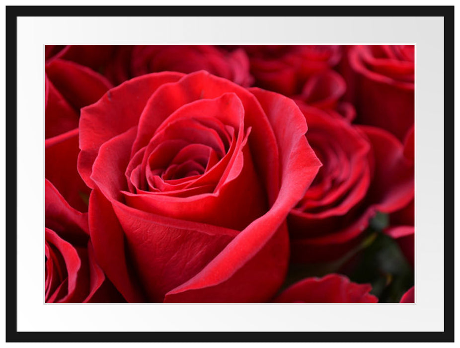 Romantische Rosen Passepartout 80x60