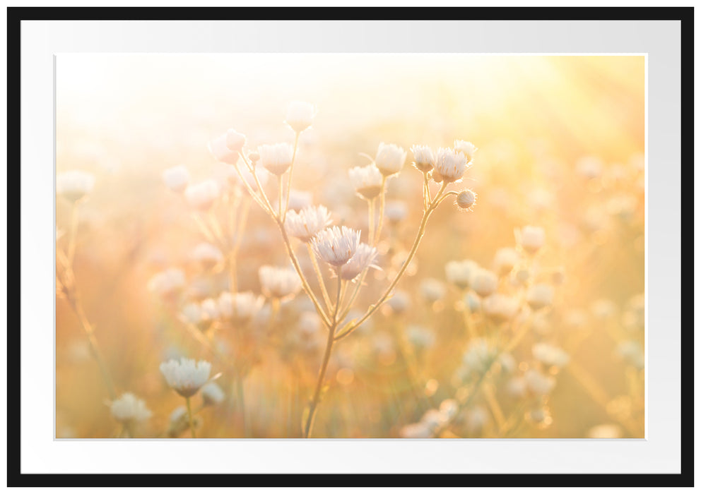 Pixxprint Romantische Blumenwiese, im Galerie-Passepartout Bilderrahmen