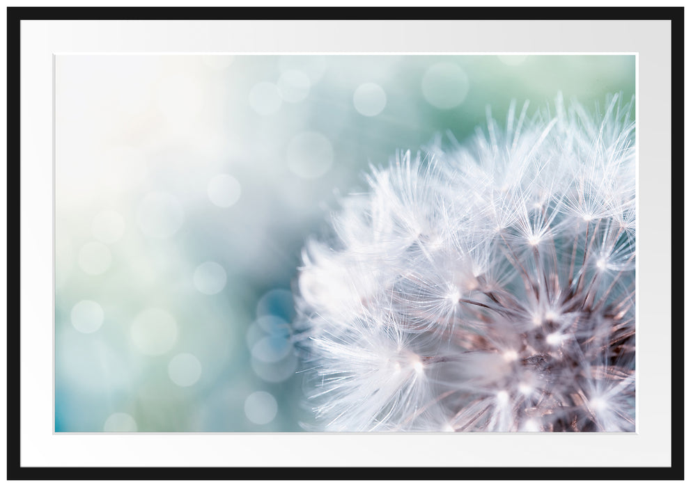 Pixxprint Zauberhafte Pusteblume, im Galerie-Passepartout Bilderrahmen