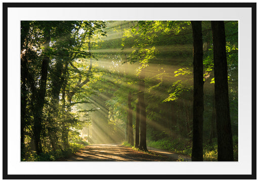 Waldweg im Frühling Passepartout 100x70