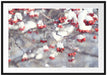 Vogelbeeren mit Schnee bedeckt Passepartout 100x70