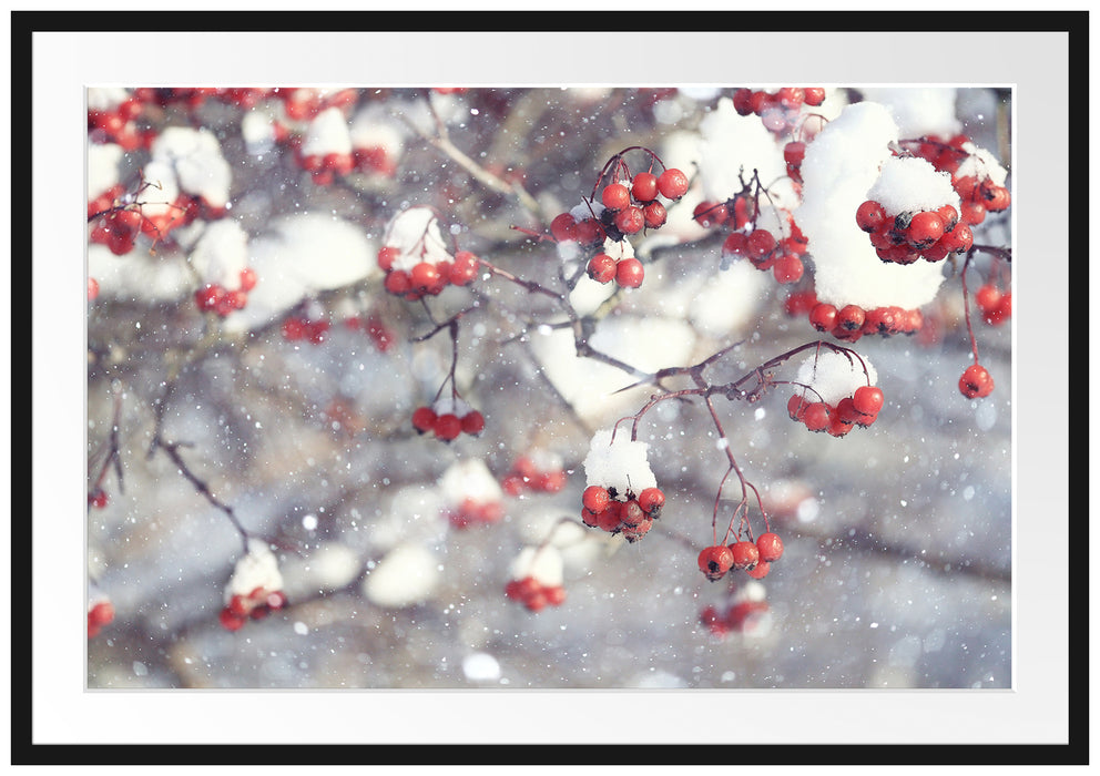 Pixxprint Vogelbeeren mit Schnee bedeckt, im Galerie-Passepartout Bilderrahmen