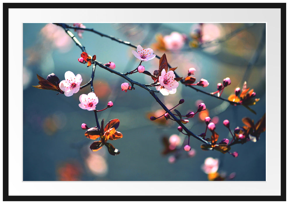 Pixxprint Exotische Sakura Blüten, im Galerie-Passepartout Bilderrahmen