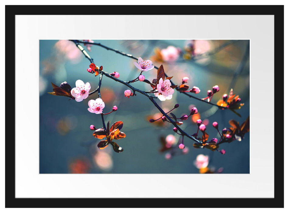 Exotische Sakura Blüten Passepartout 55x40