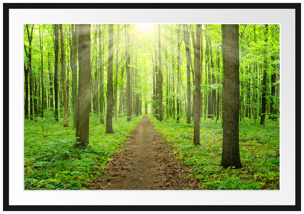 Pixxprint Sonne im Wald, im Galerie-Passepartout Bilderrahmen