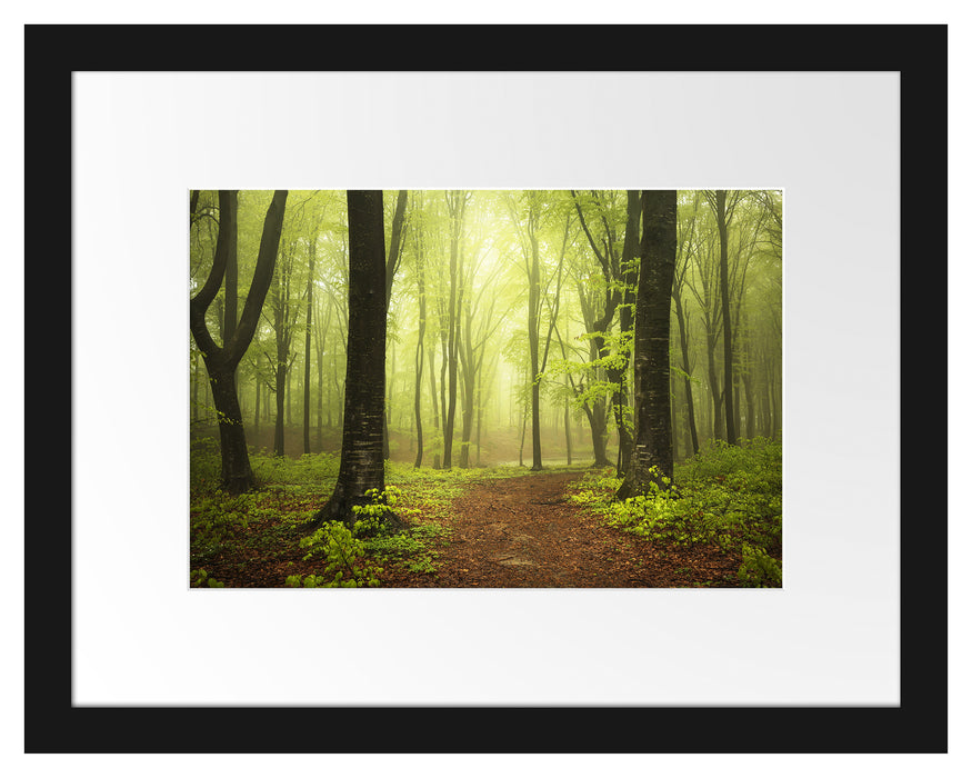 Weg im Wald Passepartout 38x30