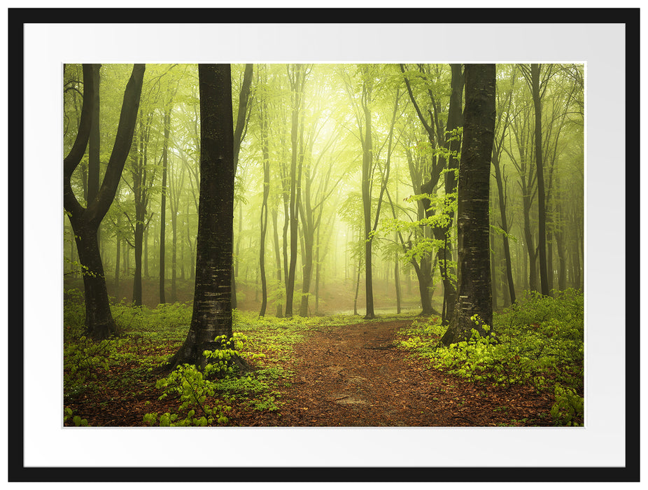 Weg im Wald Passepartout 80x60