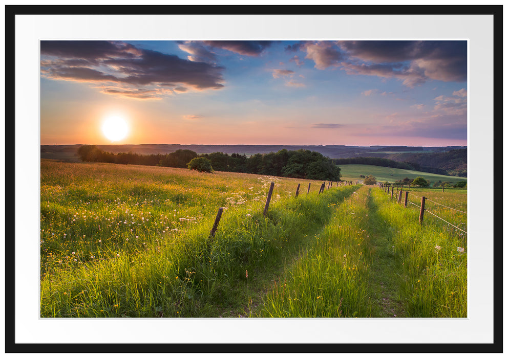 Pixxprint Bergwiese im Sonnenaufgang, im Galerie-Passepartout Bilderrahmen