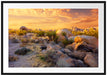 Joshua Wüste im Sonnenuntergang Passepartout 100x70