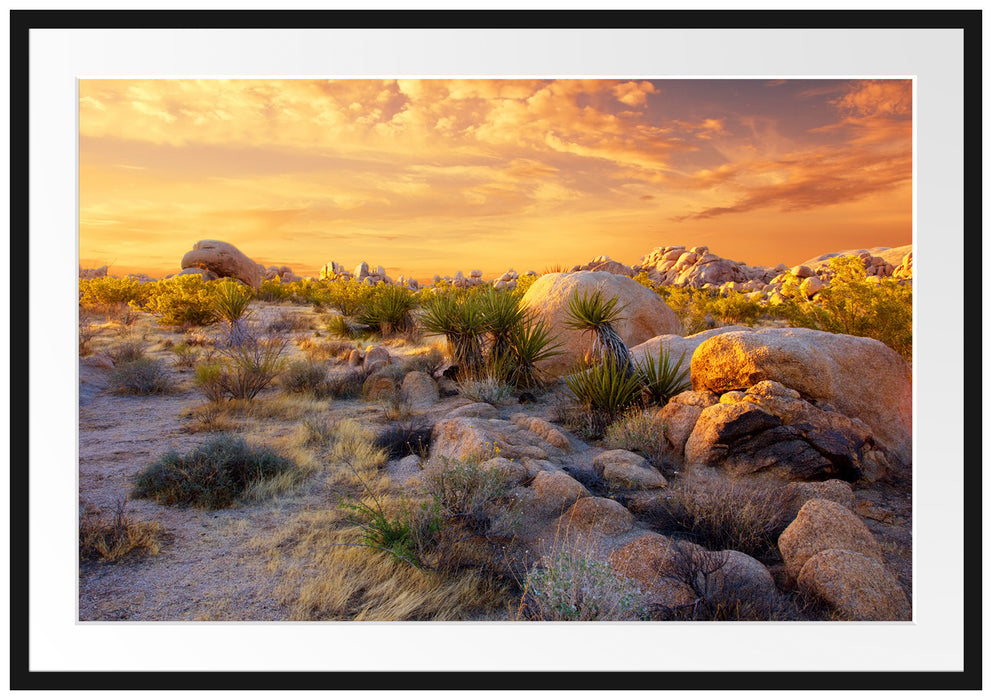 Joshua Wüste im Sonnenuntergang Passepartout 100x70