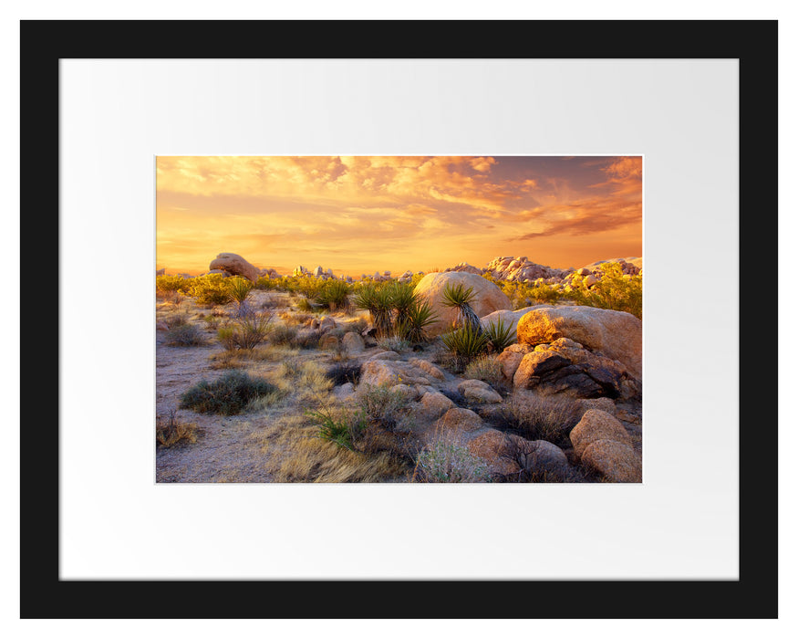 Joshua Wüste im Sonnenuntergang Passepartout 38x30