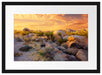 Joshua Wüste im Sonnenuntergang Passepartout 55x40