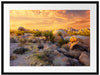 Joshua Wüste im Sonnenuntergang Passepartout 80x60