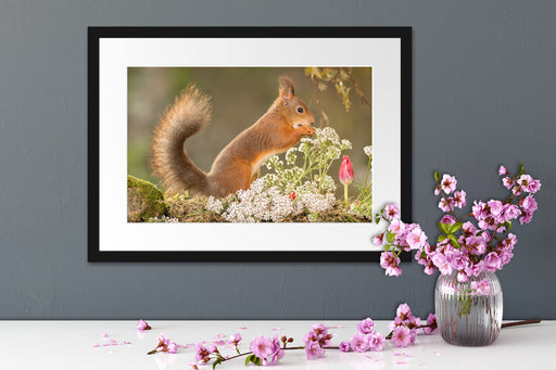 Nagendes Eichhörnchen im Moos Passepartout Wohnzimmer