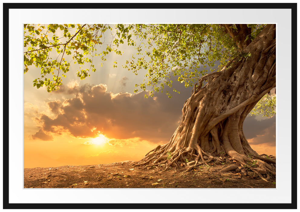 Pixxprint Baum, im Galerie-Passepartout Bilderrahmen