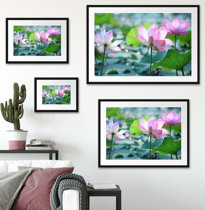 rosa Lotusblüte im Teich Passepartout Dekovorschlag