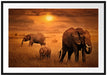 Elefanten in der Savanne Passepartout 100x70