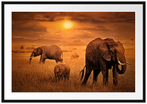 Elefanten in der Savanne Passepartout 100x70