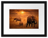 Elefanten in der Savanne Passepartout 38x30