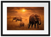 Elefanten in der Savanne Passepartout 55x40