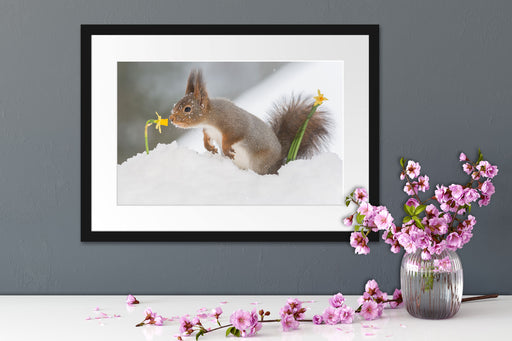 Eichhörnchen im Schnee Passepartout Wohnzimmer