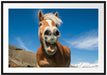 Lustiges Pferd in der Natur Passepartout 100x70