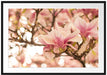 Rosa Magnolienblüten im Frühling Passepartout 100x70