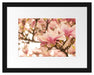 Rosa Magnolienblüten im Frühling Passepartout 38x30