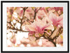 Rosa Magnolienblüten im Frühling Passepartout 80x60